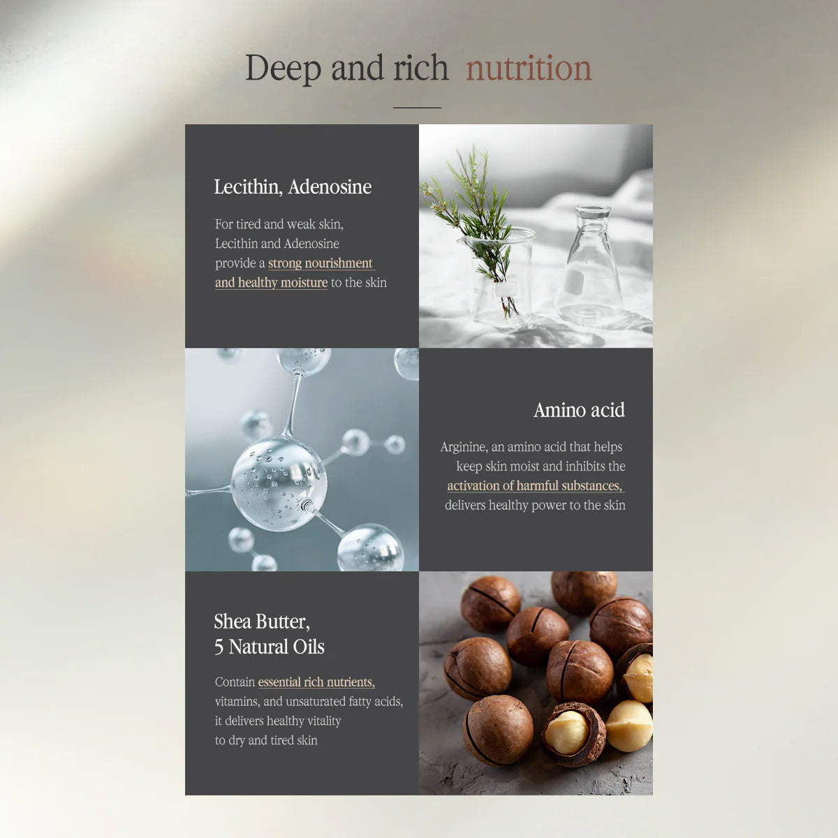 Pyunkang Yul Black Tea Revitalizing Mask Pack - 1 pc