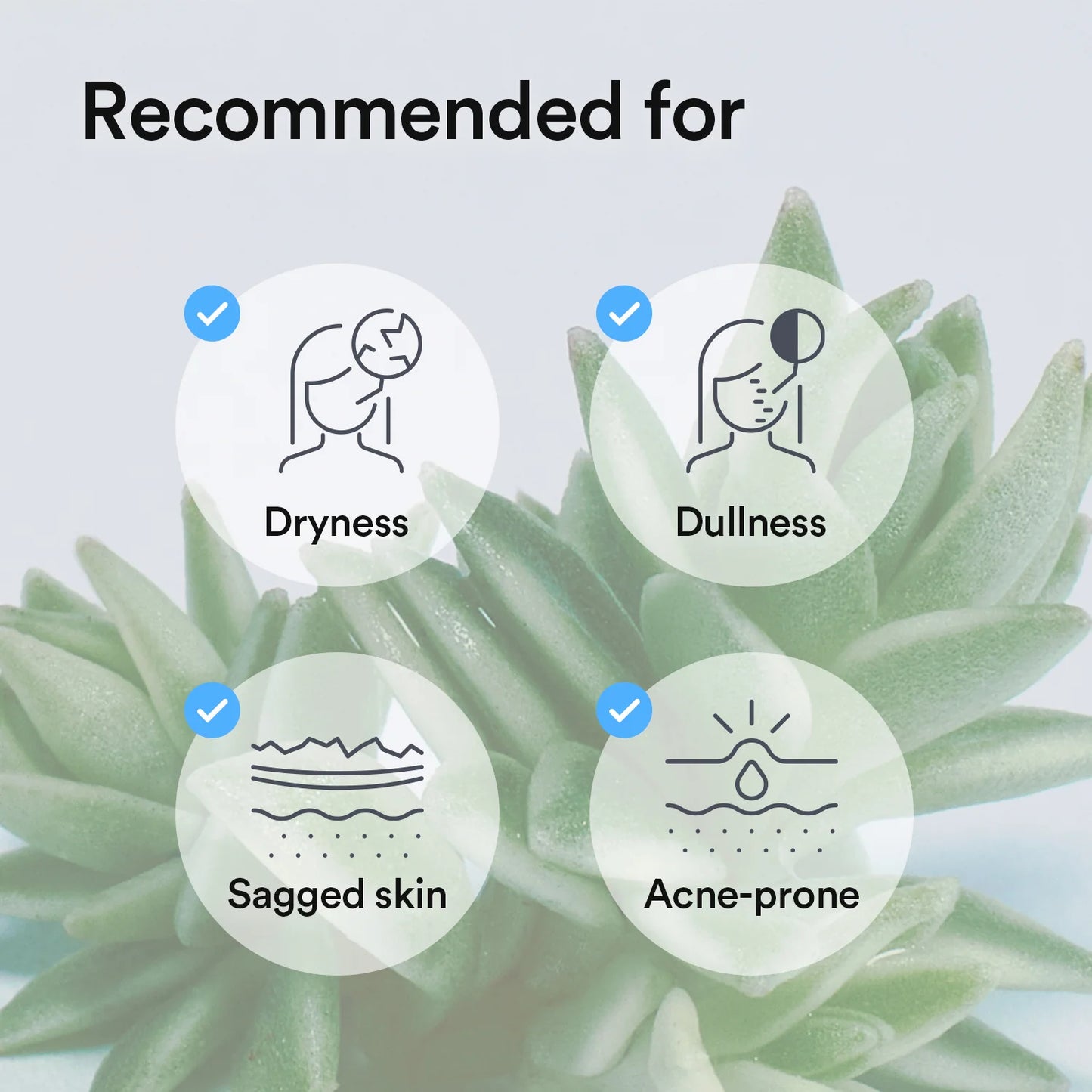 Abib Collagen Gel Mask Sedum Jelly 35g - 1 pc