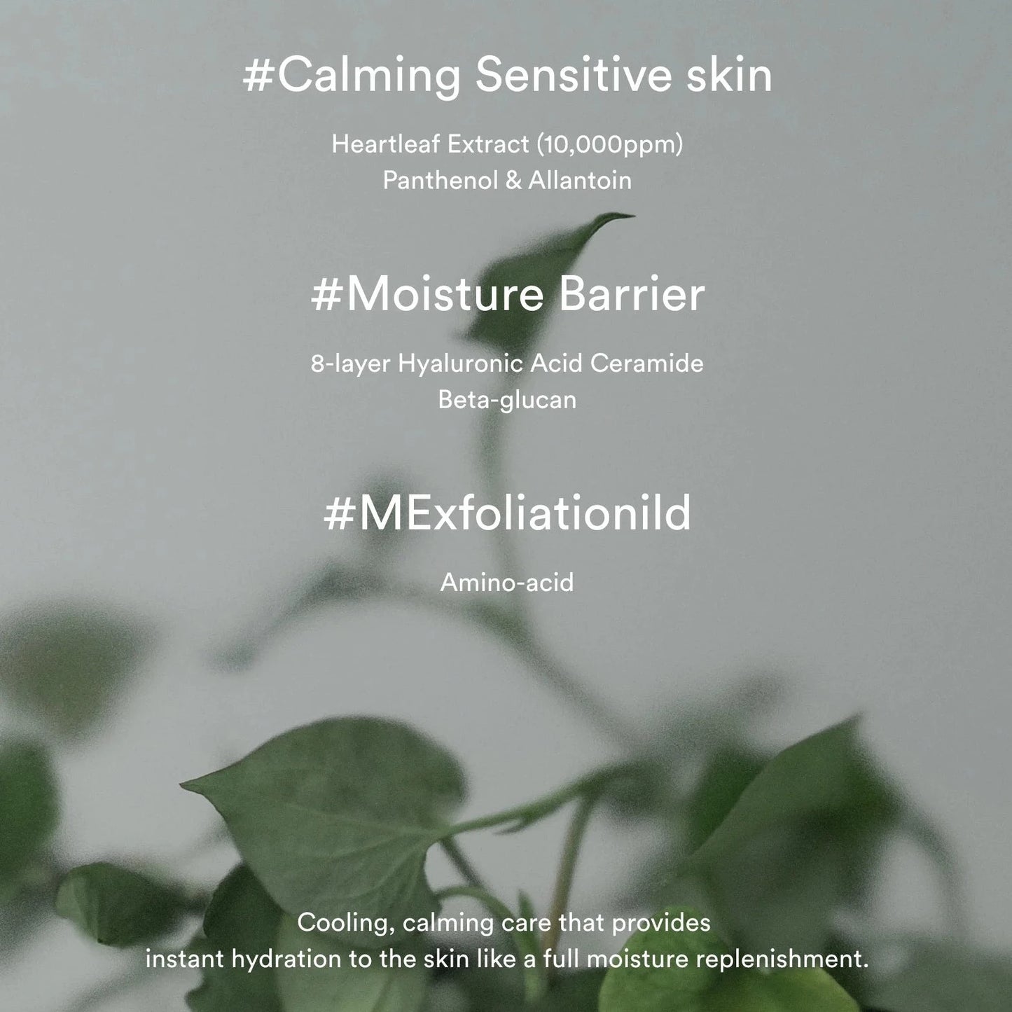 Abib Heartleaf Creme Calming Tube 30ml