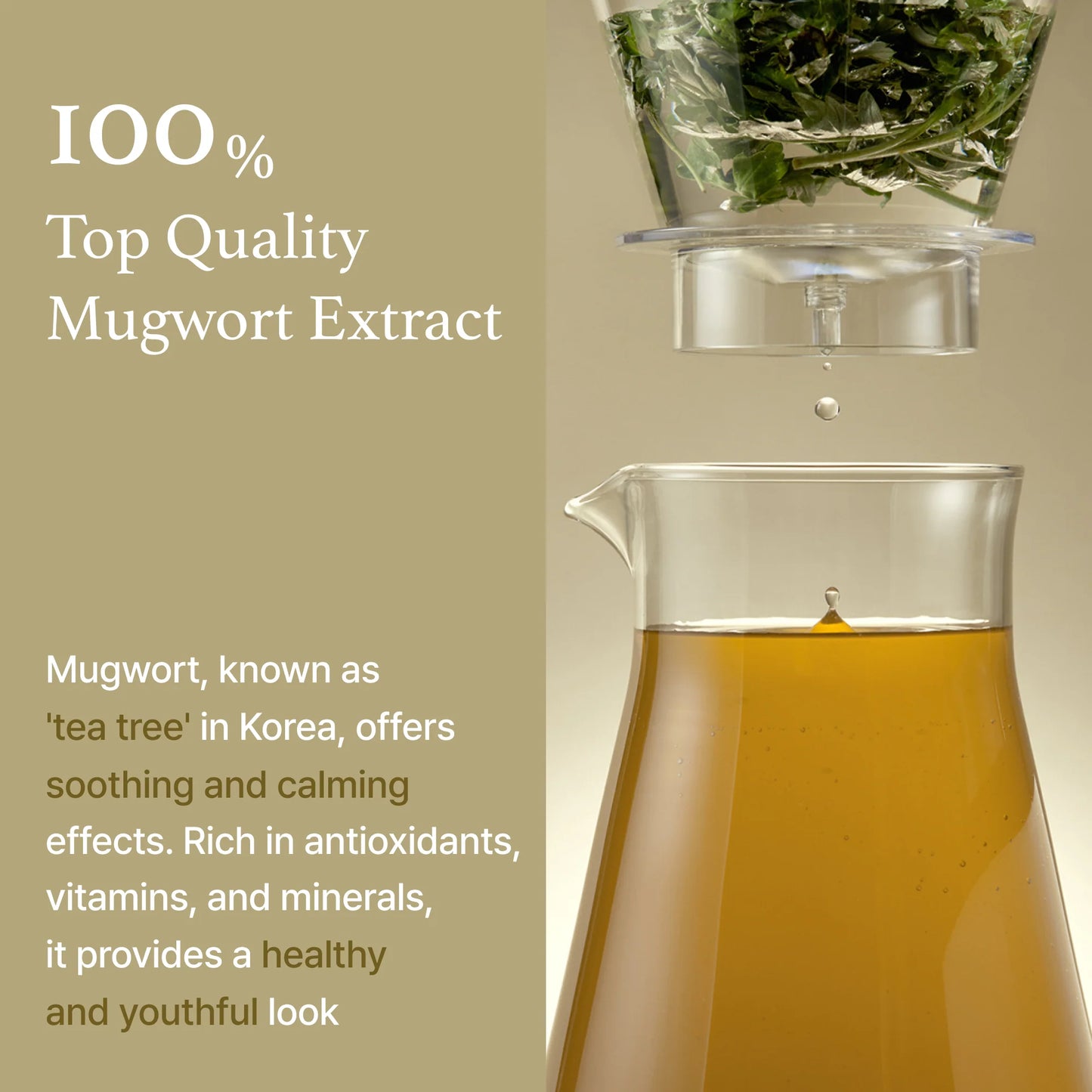 I'm From Mugwort Essence - 160ml