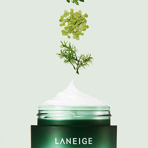 Laneige Cica Sleeping Mask 60ml