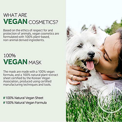 Barulab - The Clean Vegan Mask - Aloe - Soothing 23g