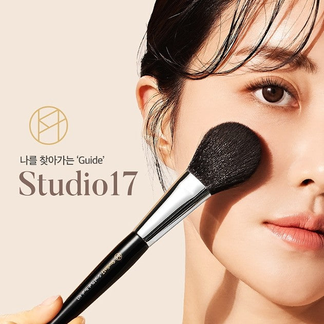 Studio17 Big Fan Brush 453