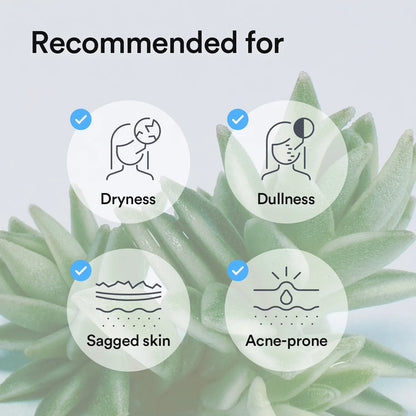 Abib Collagen Gel Mask Sedum Jelly Box Set (35g x 4)