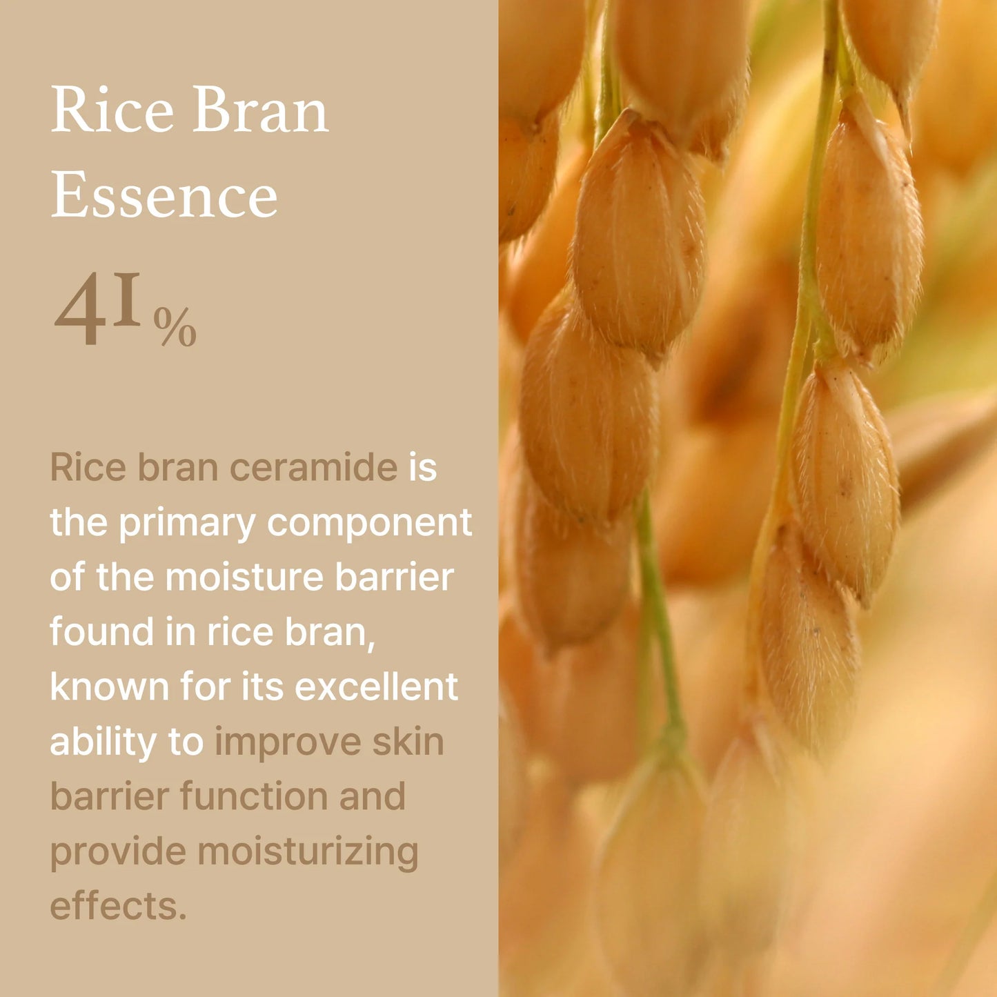 I'm From Rice Cream - 50ml