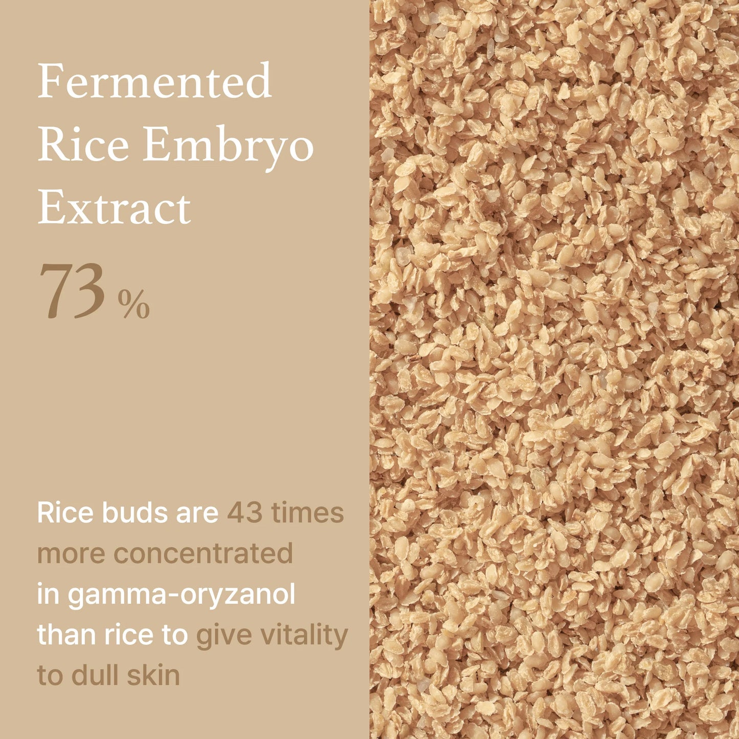 I'm From Rice Serum - 50ml